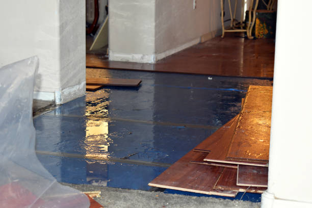 Professional Water Extraction technician working in Bow, WA